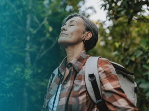 Terpènes du pin sylvestre et bien-être