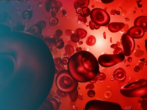 Déficit en G6PD : symptômes, causes et diagnostic