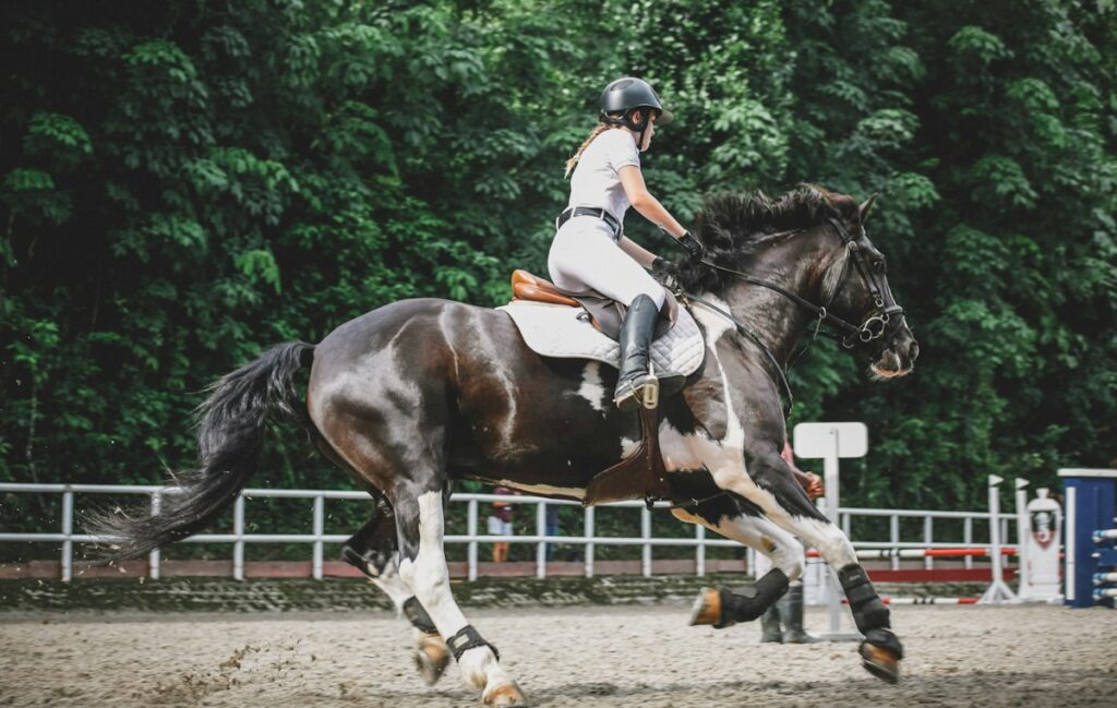 Cavalière et son cheval